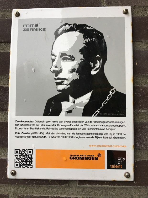 The Zernike Institute for Advanced Materials